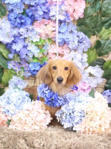 20250626レオくん